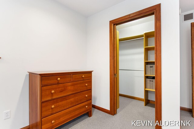 interior space with light carpet and a closet