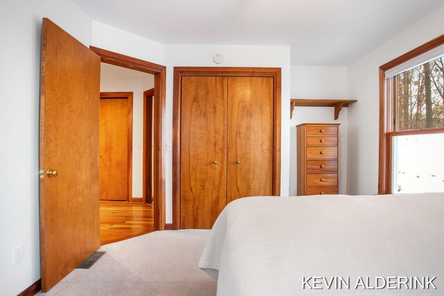 carpeted bedroom featuring a closet