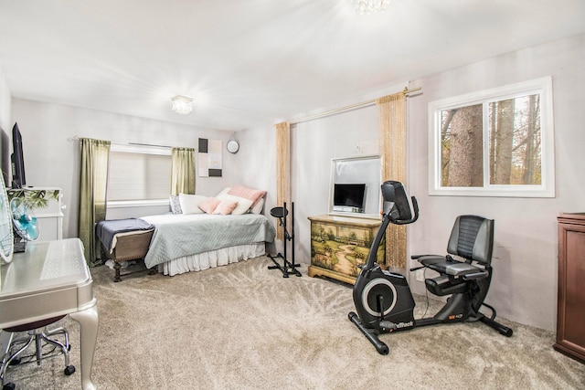 bedroom featuring light carpet