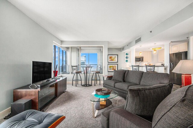 living room with carpet floors