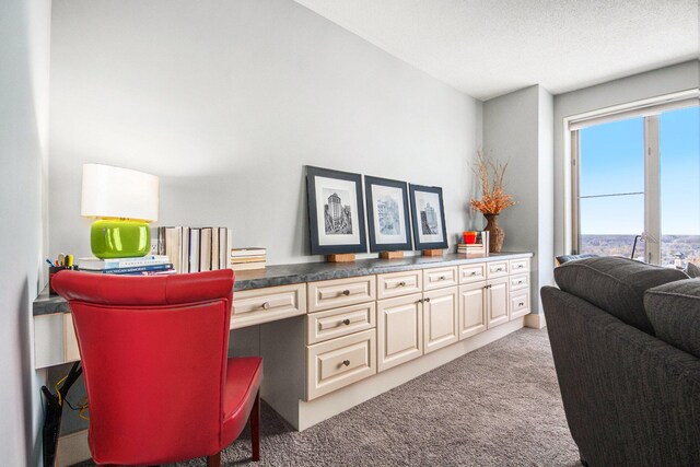 home office with light colored carpet and a textured ceiling