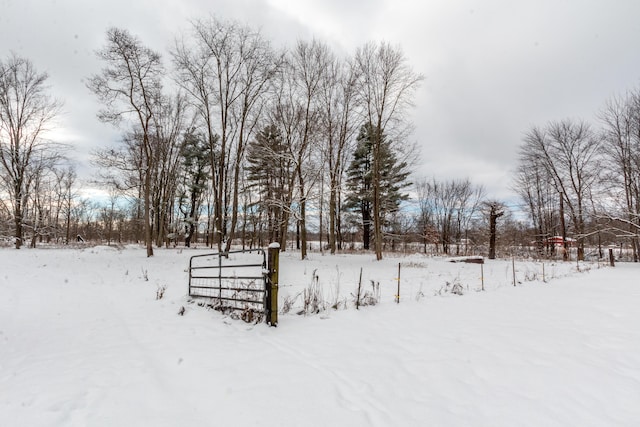 view of yard layered in snow