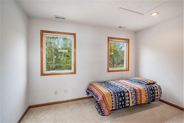 bedroom featuring carpet