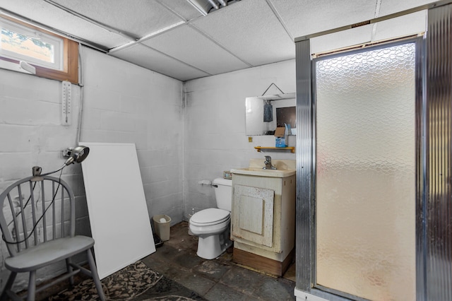 bathroom with vanity, toilet, and walk in shower