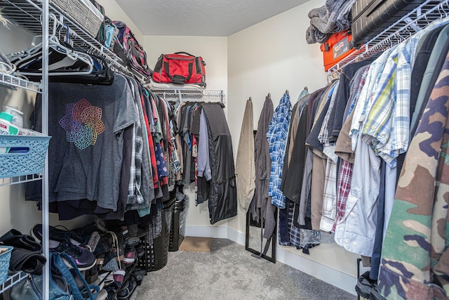 spacious closet with carpet