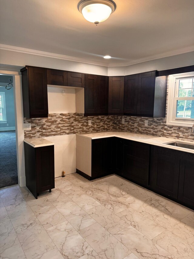 kitchen featuring dark brown cabinets, sink, ornamental molding, and backsplash