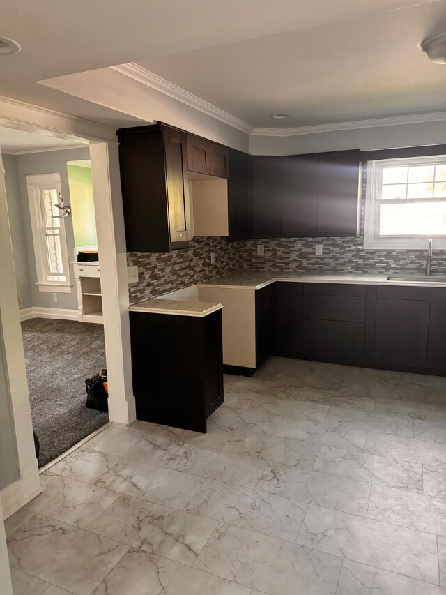 kitchen with decorative backsplash, dark brown cabinetry, light colored carpet, crown molding, and sink