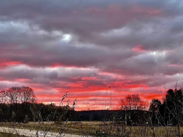 view of nature at dusk