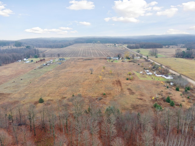 birds eye view of property with a rural view