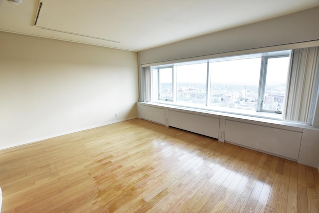 empty room featuring light wood-type flooring