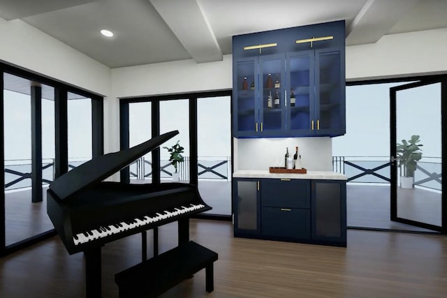 miscellaneous room featuring bar area, plenty of natural light, and dark wood-type flooring