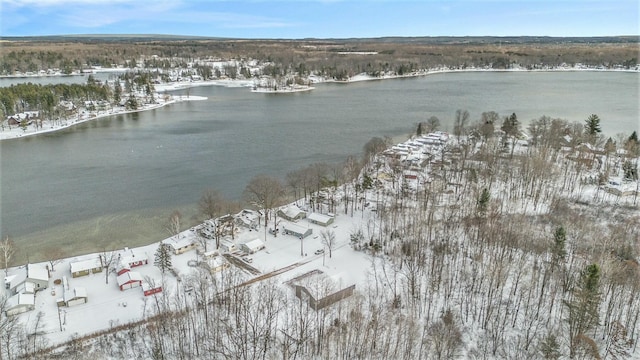 snowy aerial view with a water view