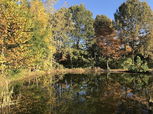 water view