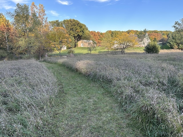 view of yard featuring a rural view