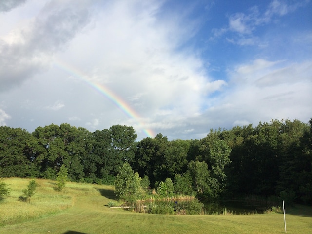 view of nature