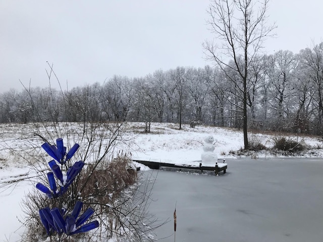 view of yard layered in snow