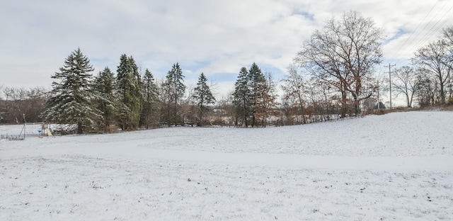 view of yard layered in snow