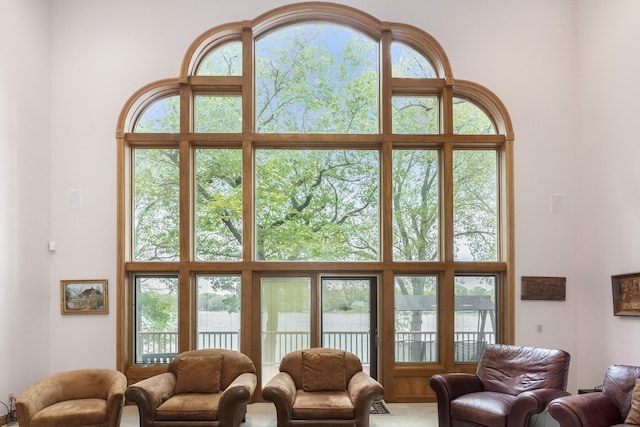 living room featuring a towering ceiling and plenty of natural light