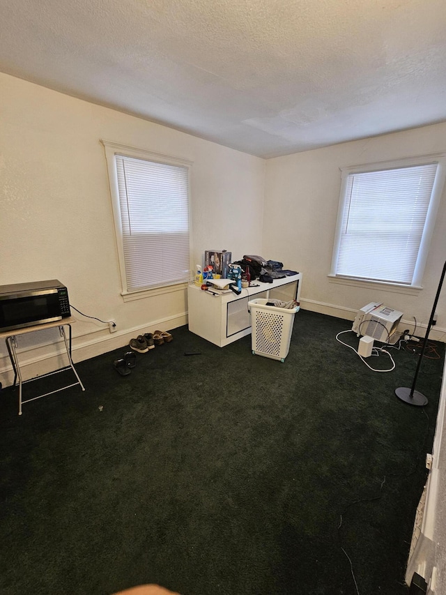 miscellaneous room with a healthy amount of sunlight, carpet floors, and a textured ceiling