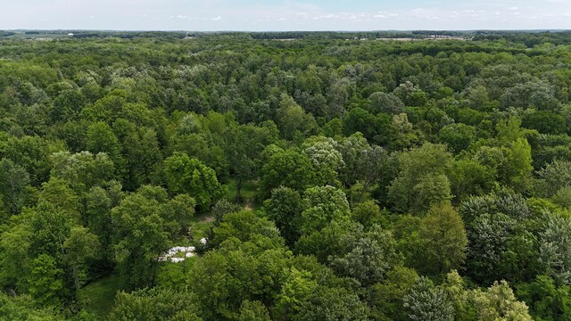 Klumbis Rd, Dowagiac, MI 49047 - photo 34