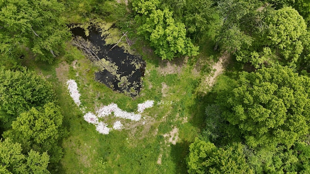 Klumbis Rd, Dowagiac, MI 49047 - photo 35