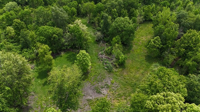 Klumbis Rd, Dowagiac, MI 49047 - photo 2