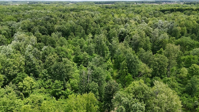 Klumbis Rd, Dowagiac, MI 49047 - photo 36