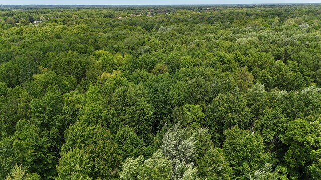 Klumbis Rd, Dowagiac, MI 49047 - photo 37