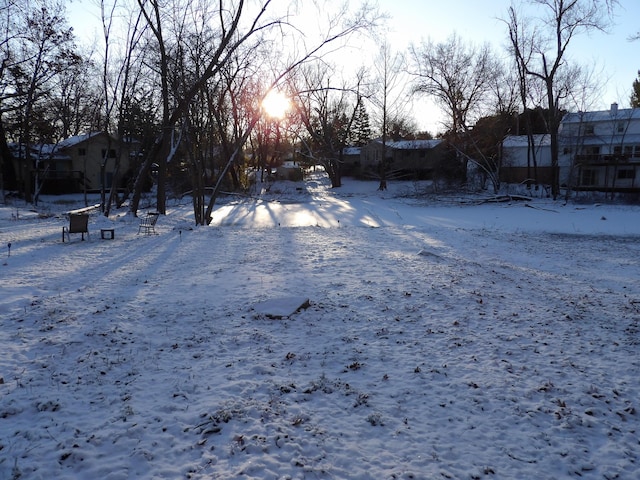 view of snowy yard