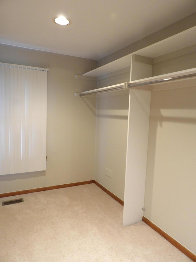 walk in closet featuring light carpet