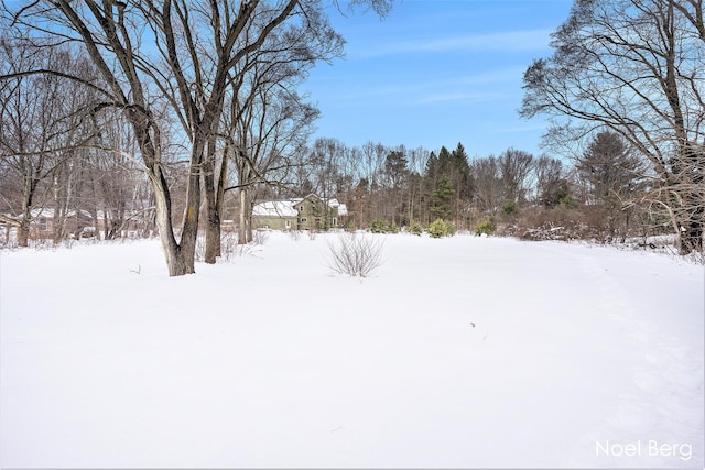 view of yard covered in snow