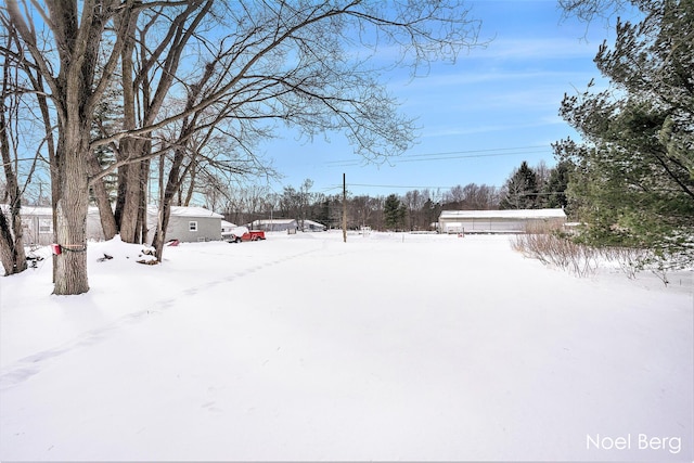 view of yard covered in snow