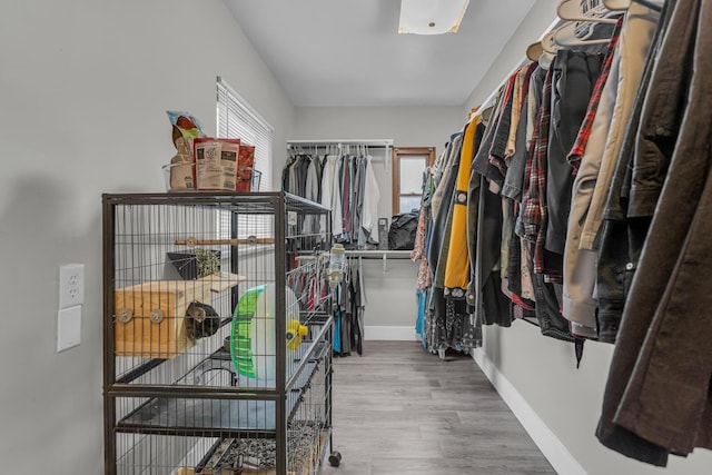 spacious closet featuring light hardwood / wood-style floors