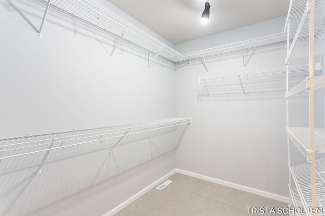 walk in closet with carpet