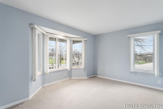 carpeted spare room featuring a wealth of natural light