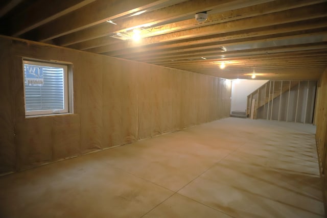 basement with wooden walls