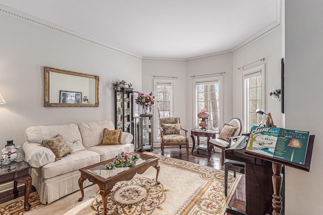 living room featuring hardwood / wood-style flooring and crown molding