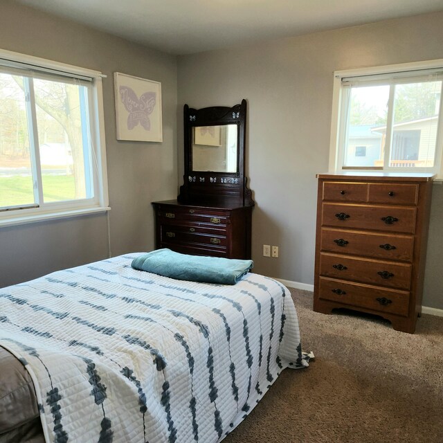 carpeted bedroom featuring multiple windows