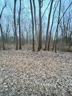 0 Linden Dr, Saint Joseph MI, 49085 land for sale