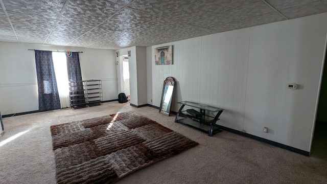 living room with carpet floors