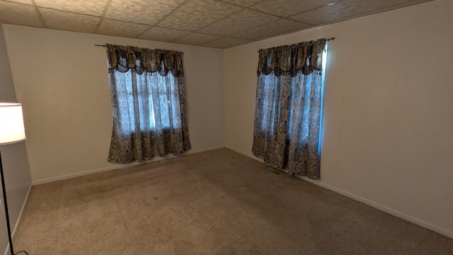 empty room featuring carpet and a drop ceiling