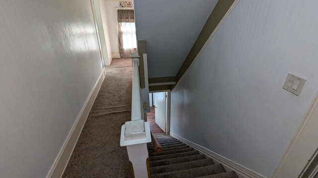 staircase featuring carpet floors