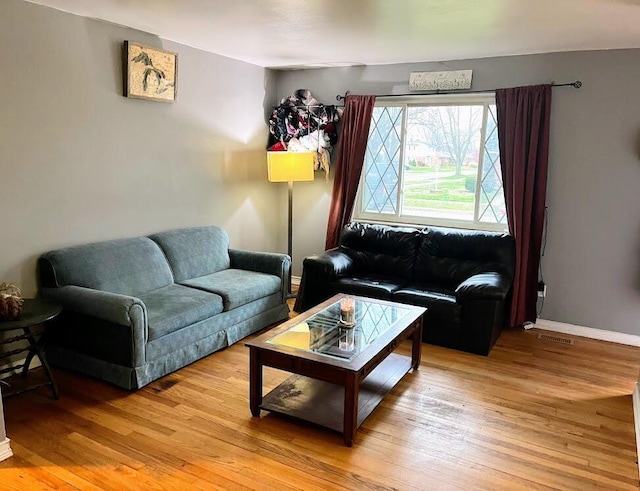 living room with wood-type flooring