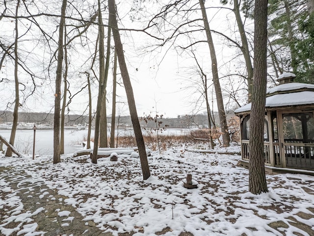 view of yard covered in snow