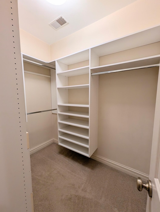 walk in closet featuring carpet floors