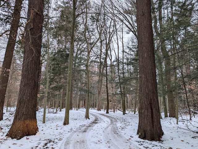 view of snowy landscape