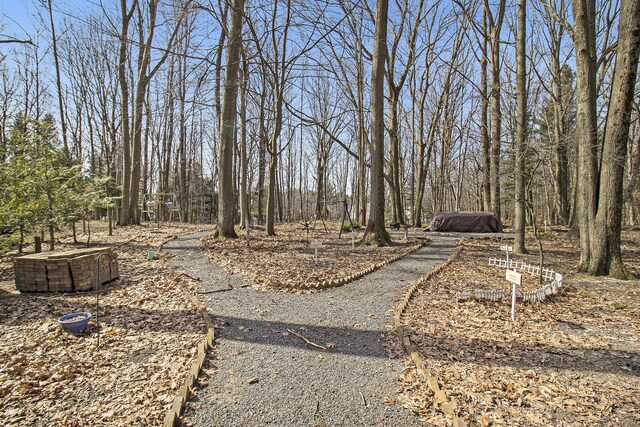 7293 M-116, Ludington, MI 49431 - view of yard