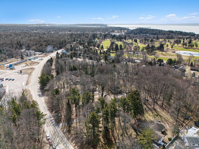7293 M-116, Ludington, MI 49431 - birds eye view of property with a water view