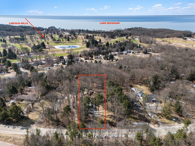7293 M-116, Ludington, MI 49431 - birds eye view of property with a water view