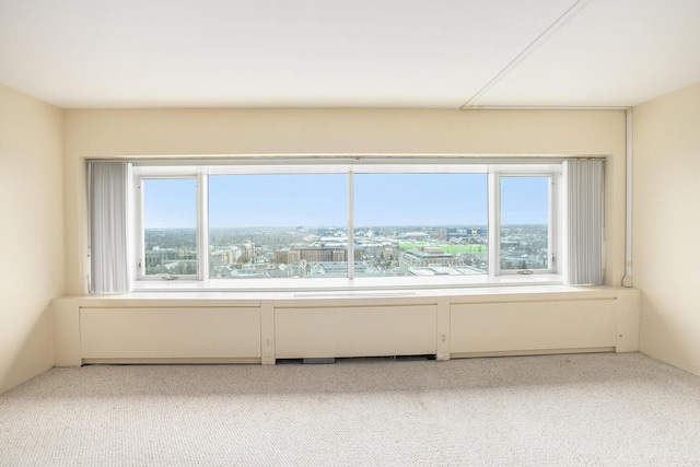 carpeted spare room with radiator heating unit and plenty of natural light